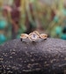 Round moonstone engagement ring vintage rose gold diamond rings twisted ring art deco milgrain bridal ring antique anniversary promise ring 