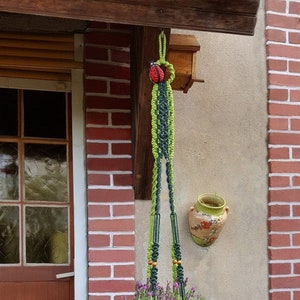 May include: A green and black macrame plant hanger with a ladybug charm hangs from a wooden beam. A potted plant with purple flowers is suspended in the hanger. The hanger is attached to a brick wall.