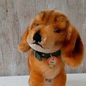 シュタイフのとても貴重な50年代から60年代の犬のぬいぐるみです