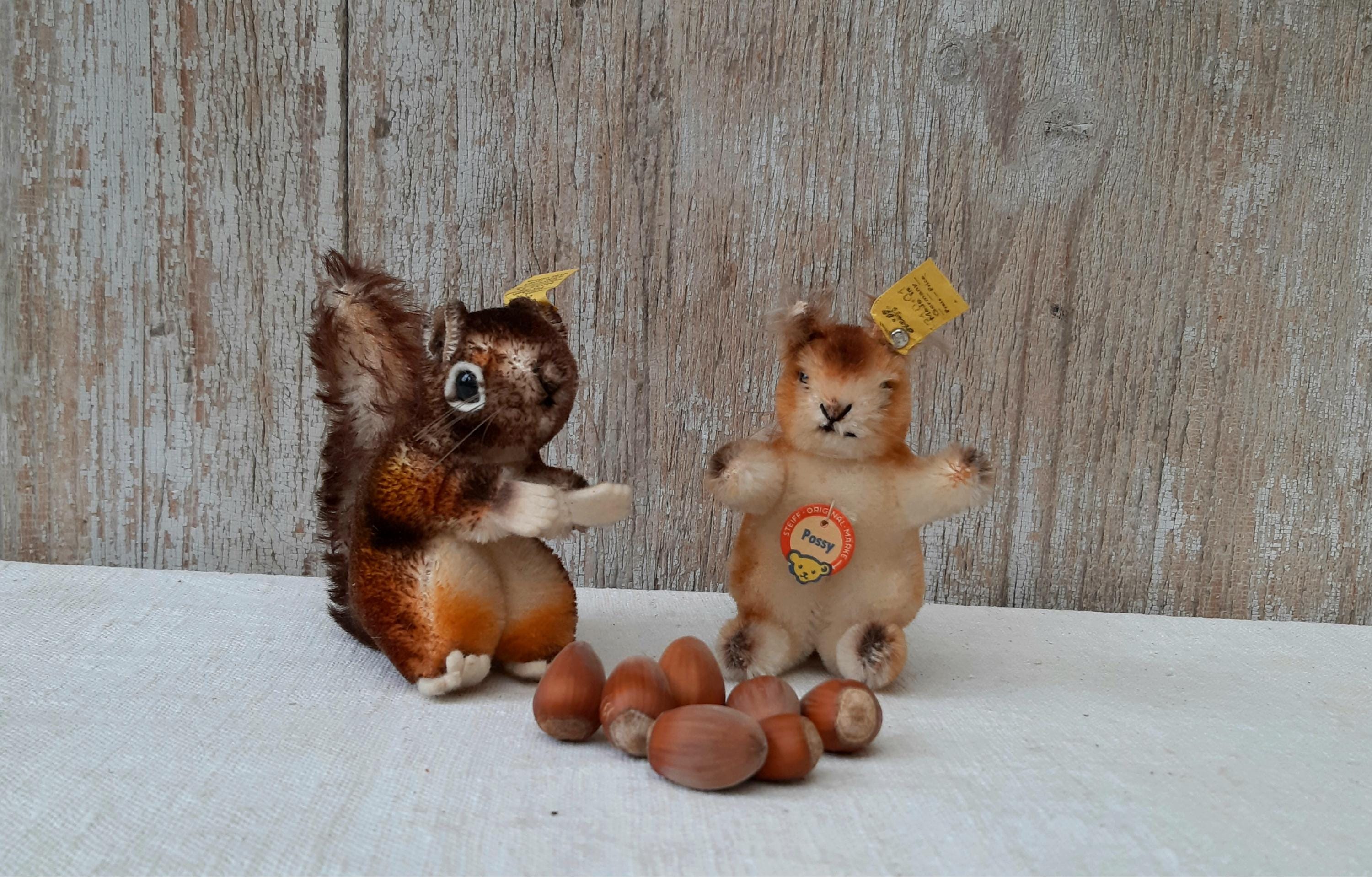 シュタイフ　リス　２セット シュタイフ リス 2セット シュタイフ リス 2セット シュタイフのリス