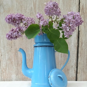 Può includere: Una teiera in smalto azzurro con coperchio, piena di fiori di lilla viola e foglie verdi. La teiera ha un beccuccio curvo e un manico. Lo sfondo è una superficie di legno colorata.