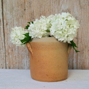 May include: A tan ceramic pot with two handles, filled with white hydrangea flowers and green leaves. The pot has horizontal lines around the top. The background is a light brown wooden surface.