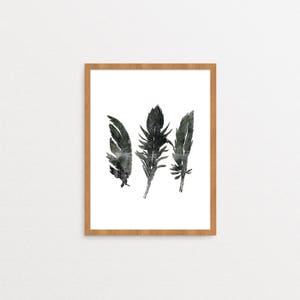 May include: Three black and white watercolour feathers in a wooden frame.