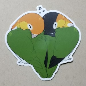 Caiques Heart  Sticker