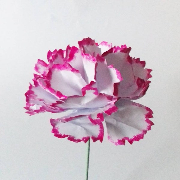 Oeillet - Fleur en papier