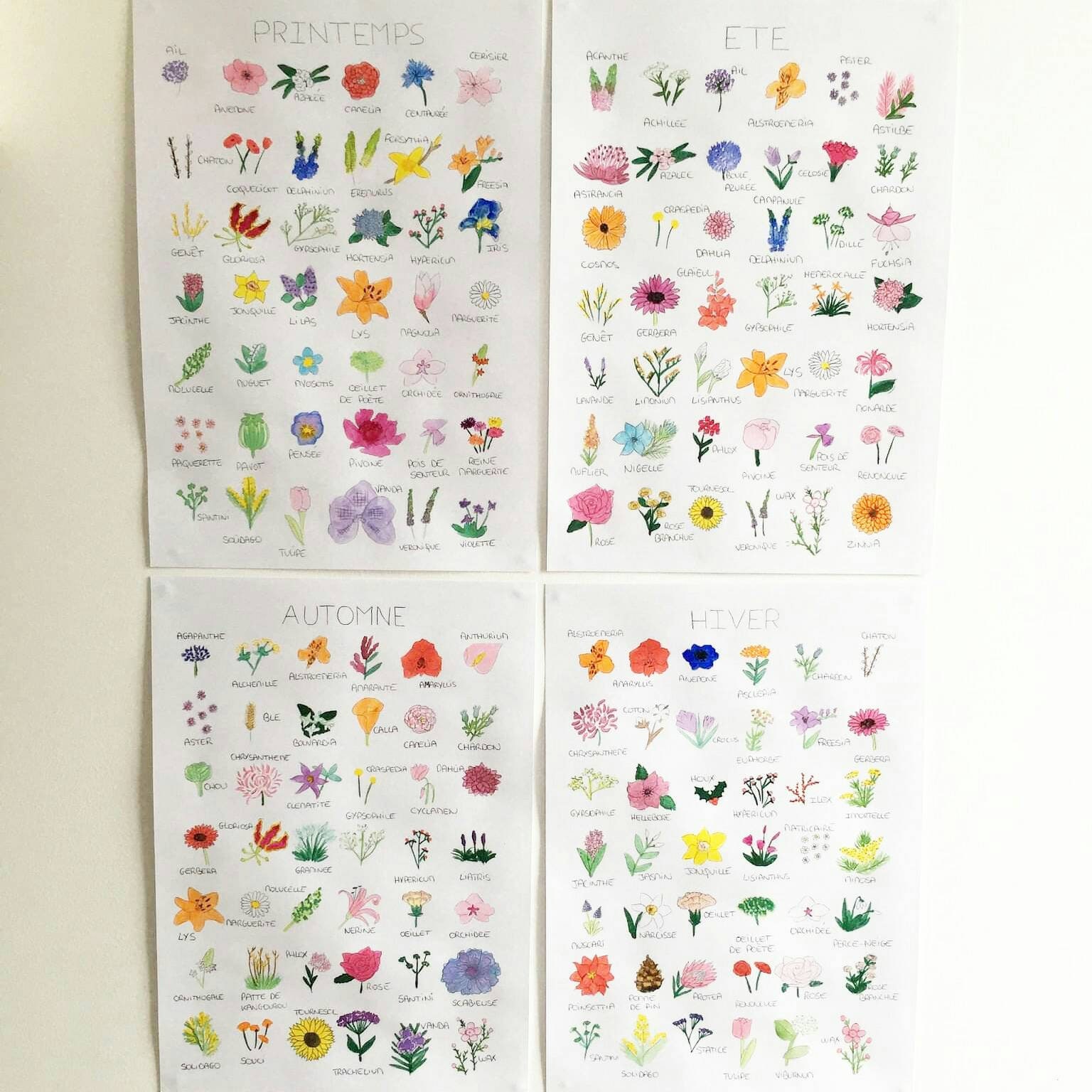 Aquarelle - Fleurs de Saison