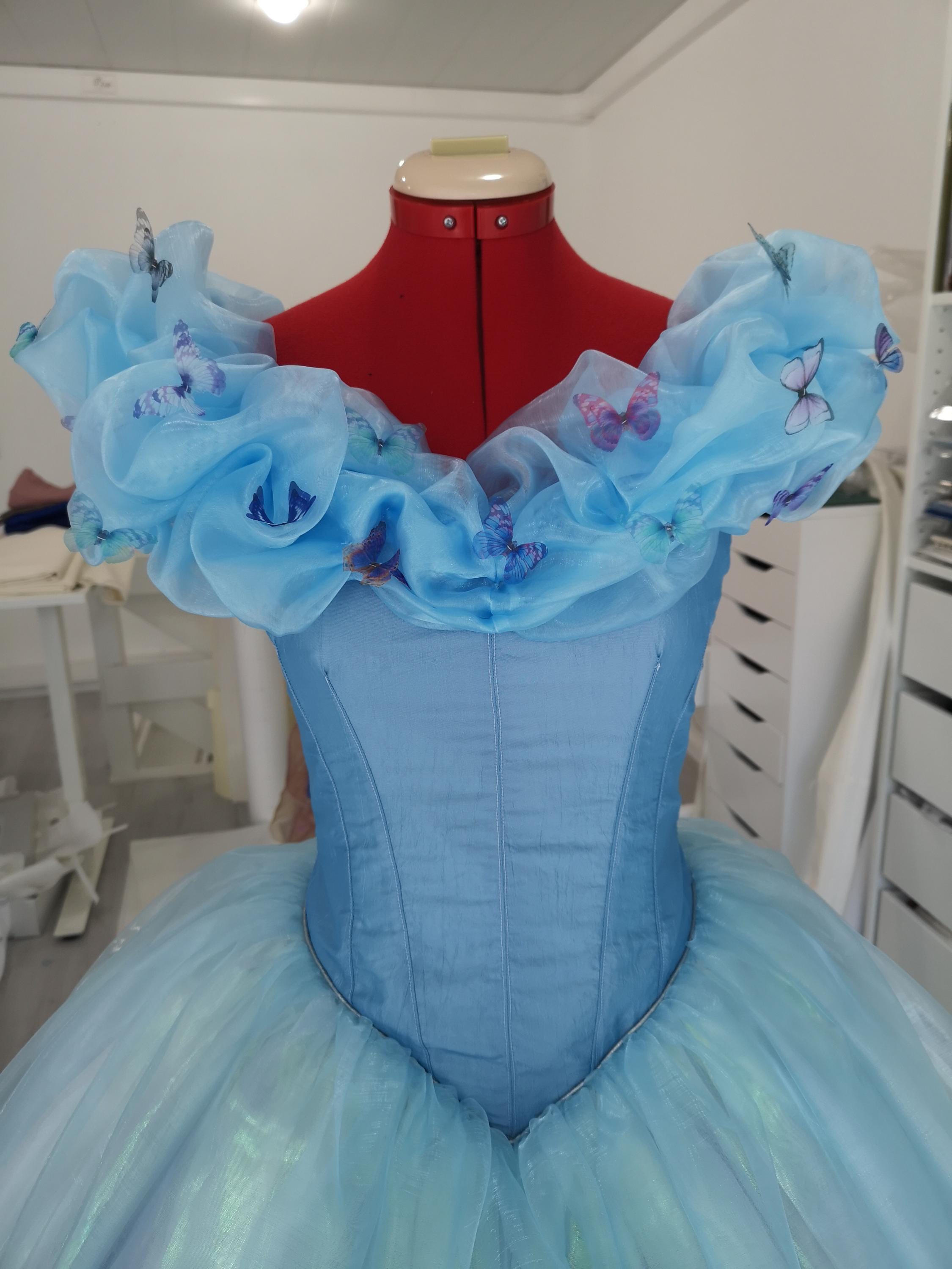 Buy Cinderella Dress Adult Online In India India