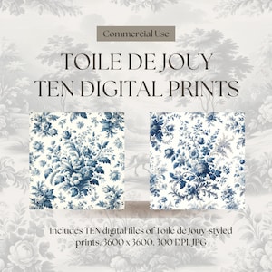 Toile De Jouy - French Art - Digital Prints - Mystical Scenes & Florals - Beautiful Vintage Designs / Textures / Patterns - Set of 10