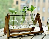 Simple Glass Vase Set,Water Plant Vase,Glass Vase,Home Decor,Office Decor,Terrarium,Water Planter,Gift Idea,Simple Gift