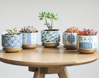 Set of 5 - Japanese Style Ceramic Planters with Bamboo Tray,Succulent Planter,Ceramic Planter,Home Decor,Simple Gift,gift