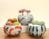 Set of 3 - Japanese Style Ceramic Planter Set for Succulent, Mini Planter, Ceramic Planter, Ceramic Pot, Mini Pot,Home Decor,Gardening Tools