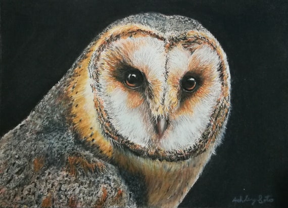 Barn Owl Portrait Full Color Art Print 5x7 Etsy