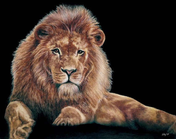 ライオンアートプリント：リアルな色鉛筆画、野生動物の壁飾り - Etsy 日本