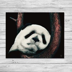 Sleeping Panda Art Print – Cute Animal Nursery Wall Decor – Watercolor Wildlife Illustration – Baby Shower Gift – Panda Wall Art