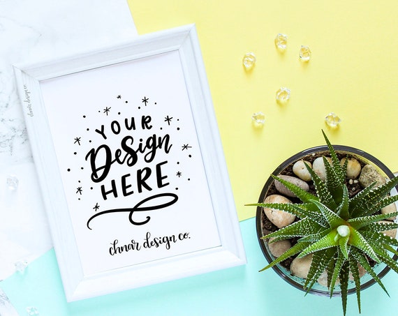 Succulents Flatlay Two Frame Styles Flatlay Photo