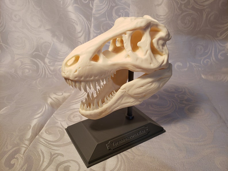 3d printed t rex skeleton