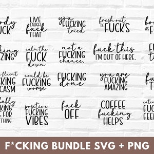 Paquete de insultos SVG, archivos SVG divertidos y groseros para adultos para Cricut, PNG