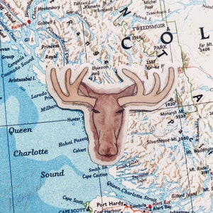 watercolor moose sticker | vinyl sticker | moose sticker | laptop sticker | waterbottle sticker | waterproof sticker | transparent sticker