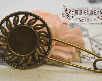 Charm holders, pins