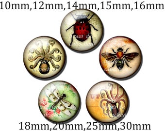 Y441,vintage,Beetle,Libellule,bee,octopus,glass cabochons,made by hands.10mm 12mm 14mm 16mm 18mm (10pcs)20mm 25mm 30mm (5pcs)