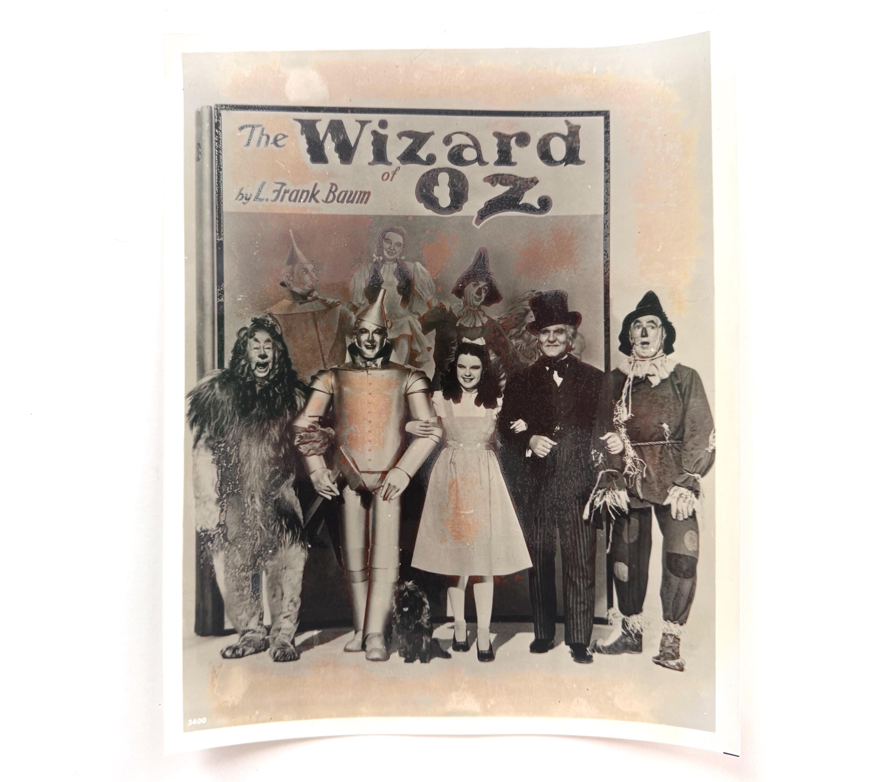 Il Mago Di Oz (S4) - Mini Cella Di Pellicola Originale Da 35 Mm Con Supporto. Edizione Limitata Incorniciata 2500 Pezzi - 33x28 Cm - Memorabilia Da Collezione - 4