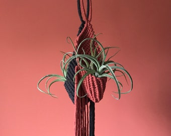 Macrame Air Plant Hanger, Small and Medium Sizes Available, Made from Recycled Cotton