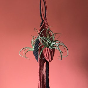 Macrame Air Plant Hanger, Small and Medium Sizes Available, Made from Recycled Cotton
