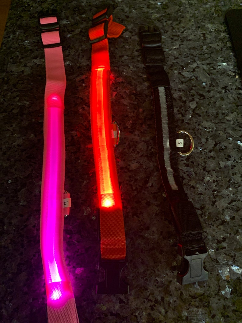 LED dog collar