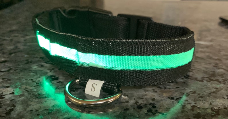 LED dog collar