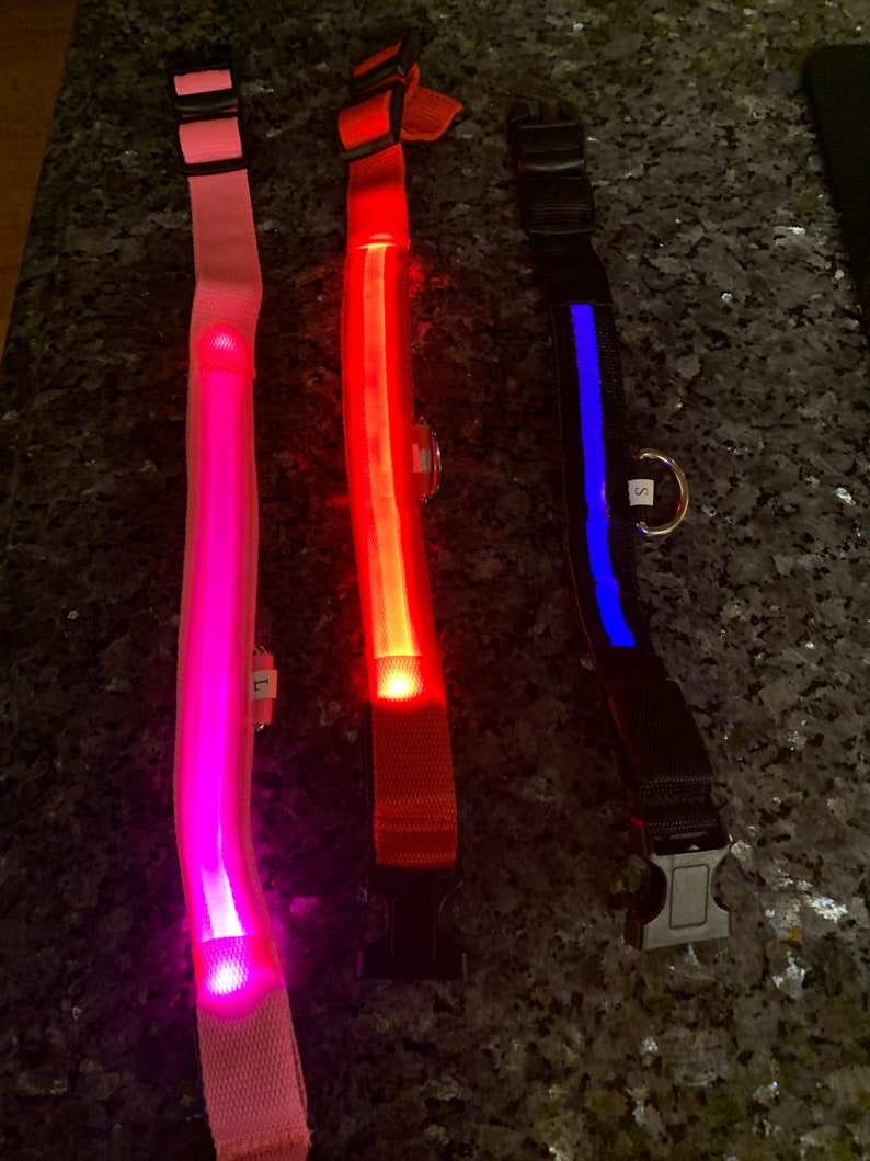 LED dog collar