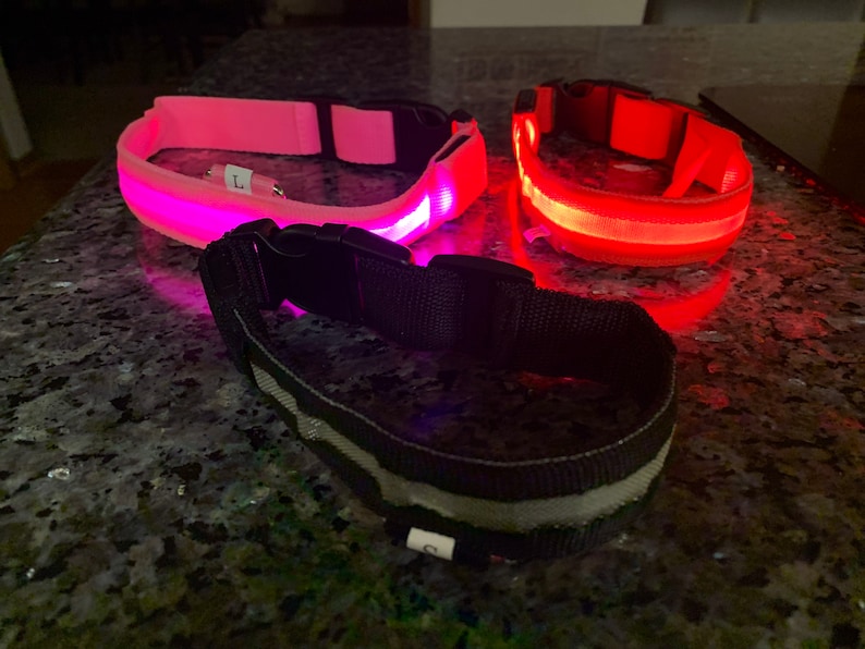 LED dog collar