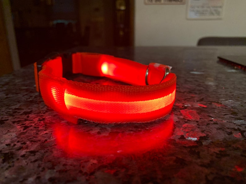 LED dog collar
