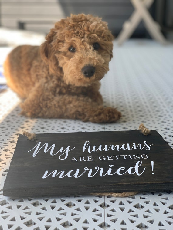 Vintage Wood Effect My Humans Are Getting Married Personalised Wedding Sign 