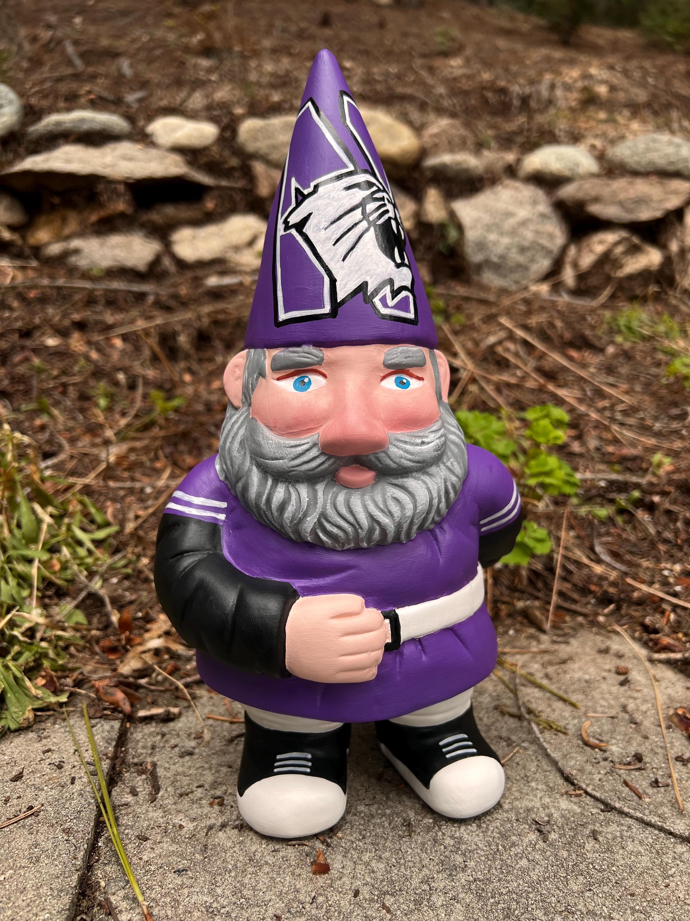 Custom Northwestern Univeristy 12 "Gnom