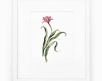 Tulip Watercolor Painting Print, Traditional wall art, Pink tulip art for gallery wall, Hand Painted Pink tulip flower print