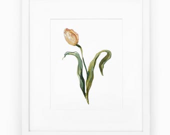 Tulip Watercolor Painting Print, Traditional wall art, Pink tulip art for gallery wall, Hand Painted Pink tulip flower print