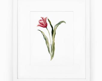 Tulip Watercolor Painting Print, Traditional wall art, Pink tulip art for gallery wall, Hand Painted Pink tulip flower print