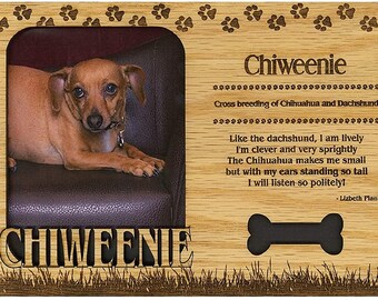 chiweenie plush