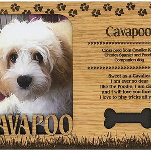 May include: A wooden photo frame with a cutout of a bone at the bottom. The frame has a picture of a Cavapoo dog in it. The frame is decorated with paw prints and the text "Cavapoo" is written at the top. The text below the picture reads "Cross bred from Cavalier King Charles Spaniel and Poodle Companion dog Sweet as a Cavalier I am ever so dear like the Poodle, I am clever and I will love you forever I love to play tricks all yearl - Lizbeth Plant"