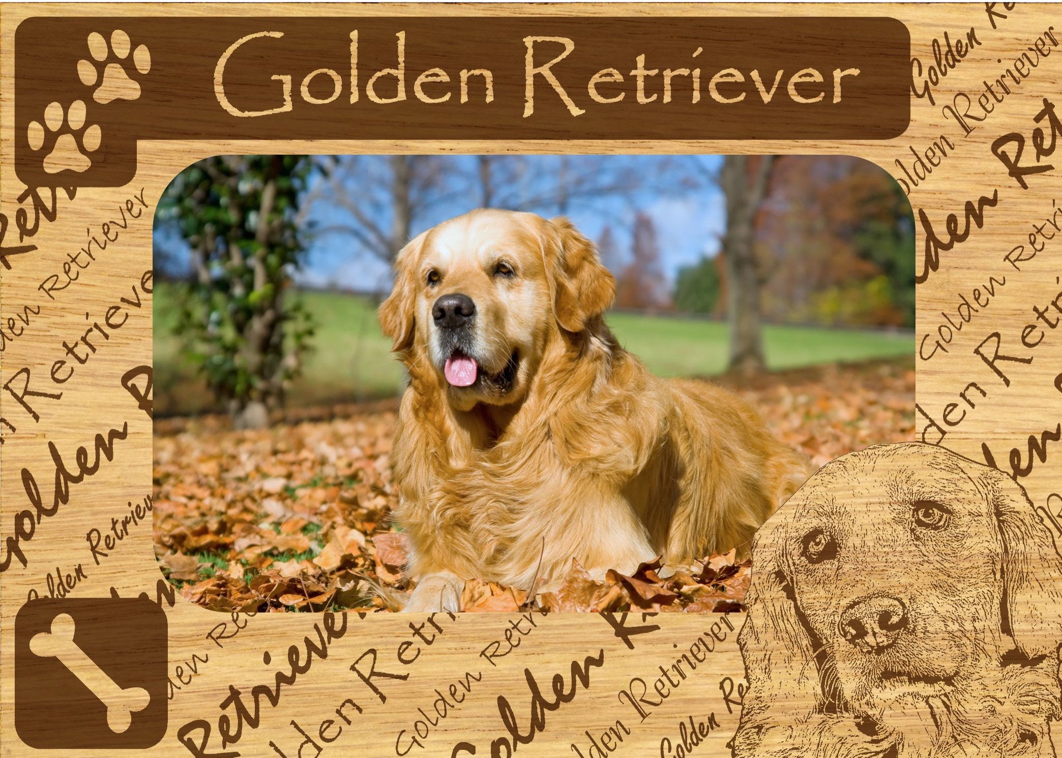 Golden Retriever Picture Frame atelieryuwa.ciao.jp