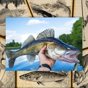 Walleye Fish Laser Engraved Wood Picture Frame
