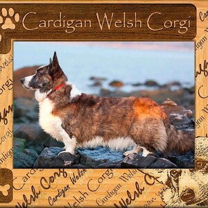 May include: A wooden picture frame featuring a brindle and white Cardigan Welsh Corgi dog standing on rocks. The frame is engraved with the text Cardigan Welsh Corgi, paw prints, a bone icon, and a detailed illustration of a Corgi face.
