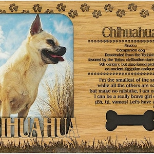 May include: A wooden plaque with a photo frame featuring a Chihuahua dog. The plaque has a bone-shaped cutout and text that reads "Chihuahua, Mexico, Companion dog, Descended from the Techichi, favored by the Toltec civilization during Mexico's 9th century, but also found pictured on ancient Egyptian antiques, I'm the smallest of the small while all the others are so tall but make no mistake, I am not a toy! I can be a really brave girl or boy ¡Eh, tú, vamos! Let's have a ball! - Lizbeth Plant"