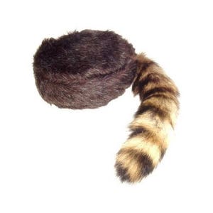 May include: A brown faux fur hat with a long, striped raccoon tail attached.