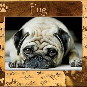 May include: A wooden picture frame with a carved pug dog design. The frame has a brown wood finish and a clear glass insert. The word "Pug" is carved into the top of the frame.