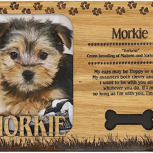 morkie items