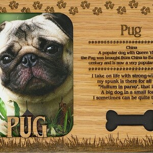 May include: A wooden plaque with a photo of a pug dog in a frame. The plaque has a bone-shaped cutout and text that reads "Pug" and "China" along with a poem about the breed.