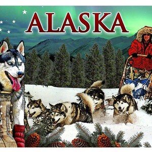 Alaska Dog Sledding and Northern Lights Fridge Magnet