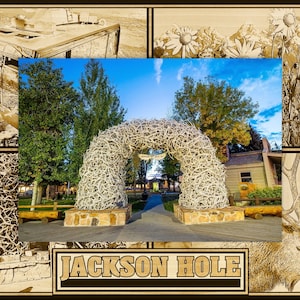 May include: A collage of images featuring a large archway made of antlers, a rustic wooden sign with the text "JACKSON HOLE", and a close-up of an elk's head. The archway is located in a park setting with trees and a paved walkway. The sign is made of wood and has a brown background with white lettering. The elk's head is brown and has large antlers.
