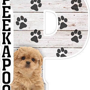 May include: A white wooden sign with a black paw print pattern and the text "I Love My Peek A Poo" in black. A small, light brown puppy is sitting in the center of the sign.